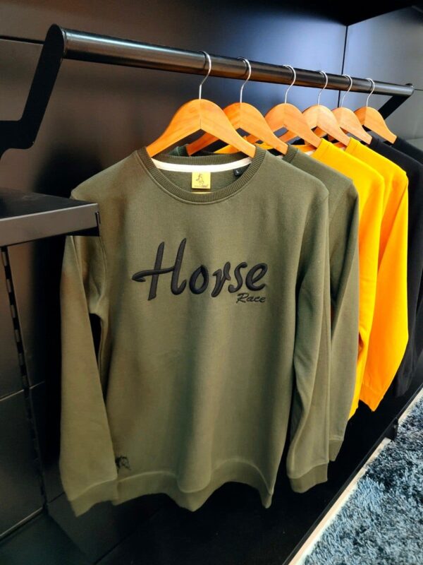 Mens winter heavy sweatshirt [3 colours]