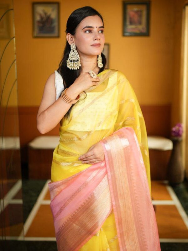 WOMENS REGULAR FIT SOLID ORGANZA SAREE - Image 3